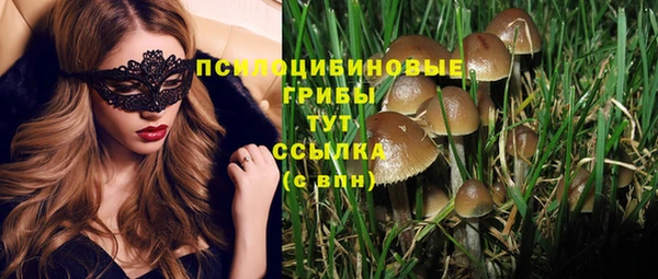 стаф Абдулино