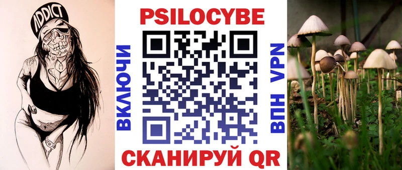 Псилоцибиновые грибы прущие грибы  Мостовской 